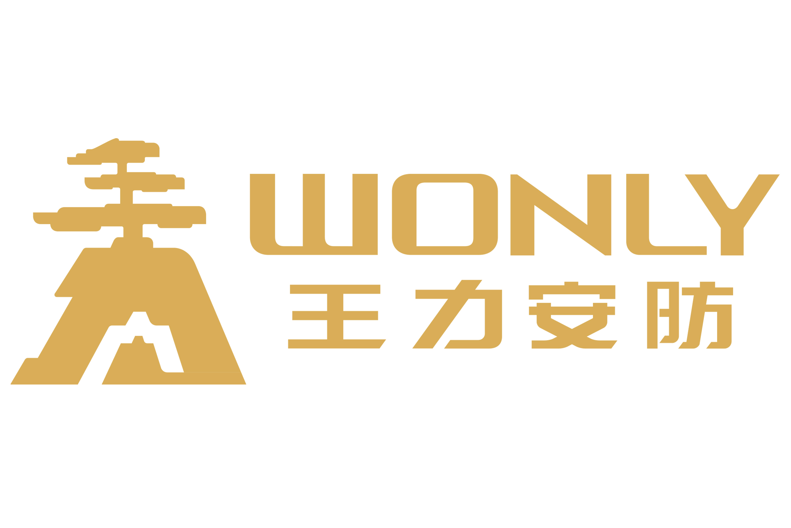 王力安防